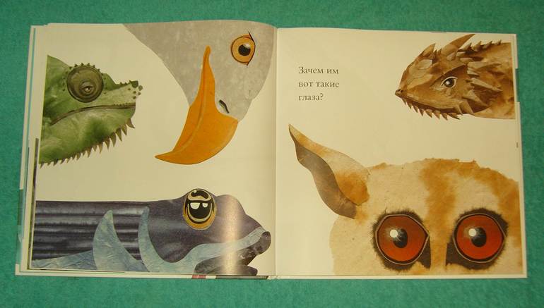 Про хвосты,носы и уши.Интересные факты.