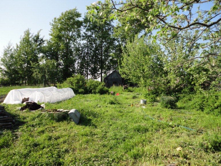 Похвастушки))))) Было и стало!