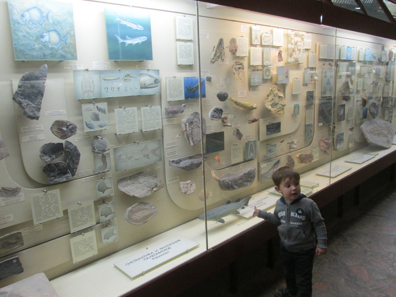 ТН динозавры