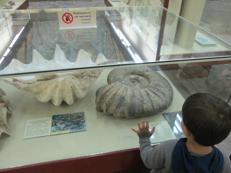 ТН динозавры