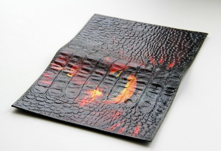 Обложки на паспорт