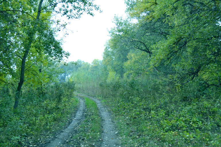 Контрольное задание № 6. Три способа цветокоррекций фотографий