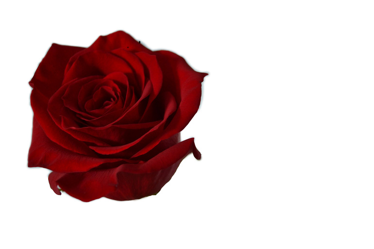 Контрольное задание № 10. Использование быстрой и обтравочной масок