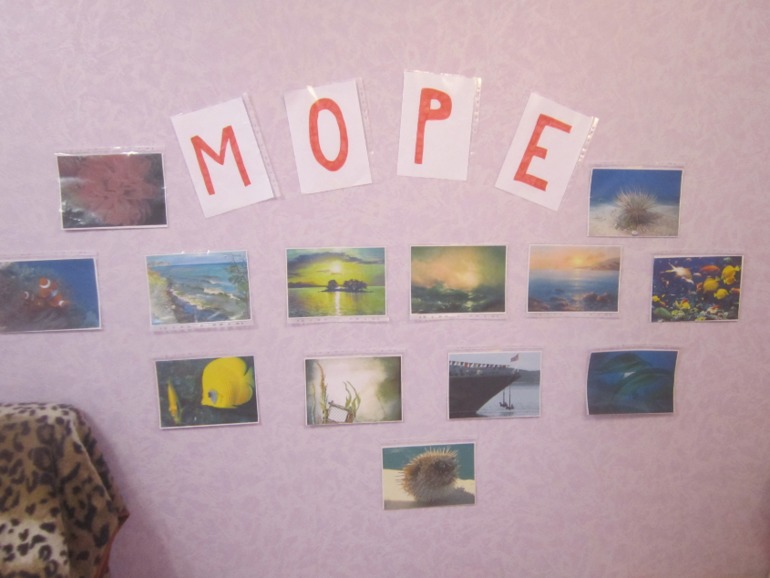 ТН Море. День 2. Рыбы