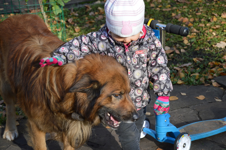 Братья меньшие