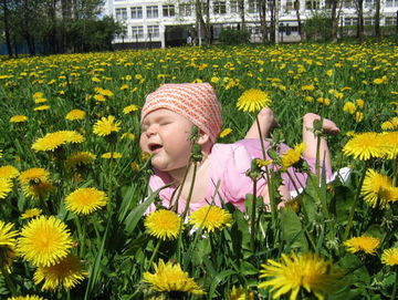 Здесь самые заразные чихи!!!