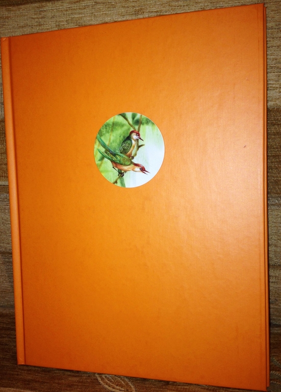 Рикки-Тикки-Тави  Джозеф Редьярд Киплинг