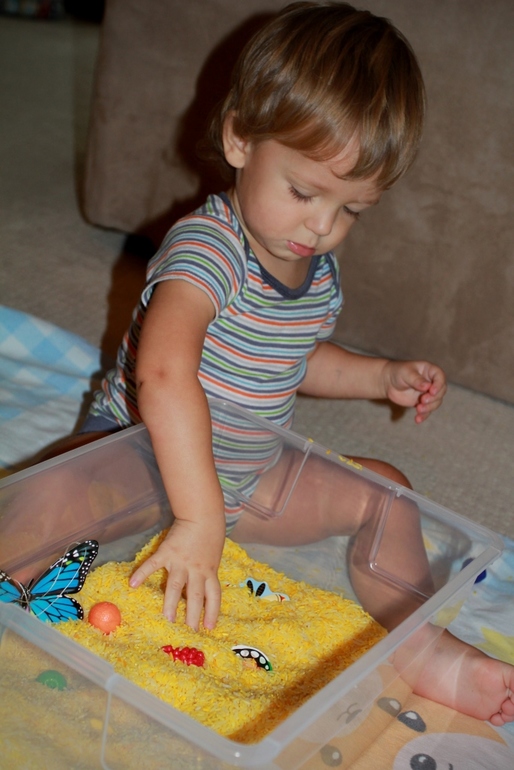 Наш первый тематический день