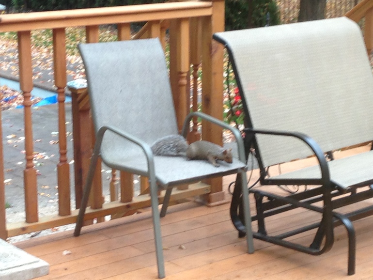 Montreal-Burlington. 22 октября 2013. Телефонофото.