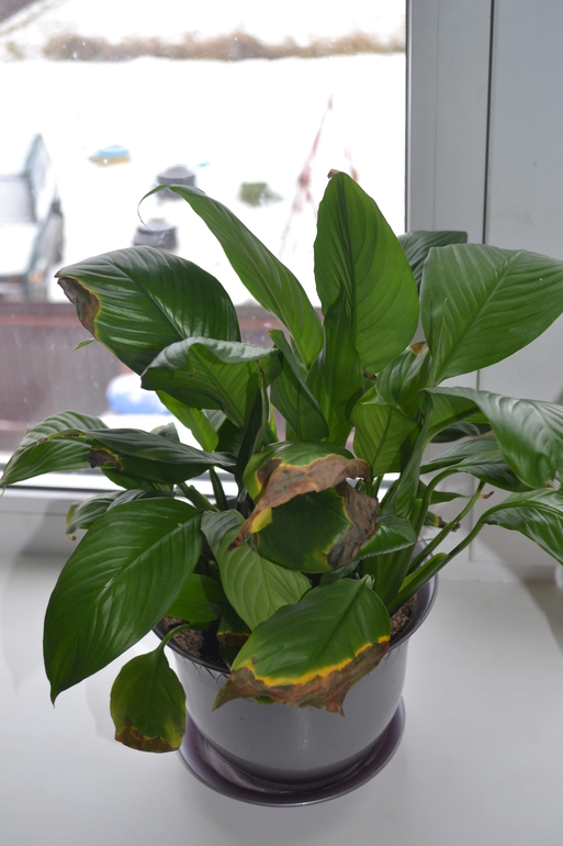 Первый раз в первый класс.. помогите!