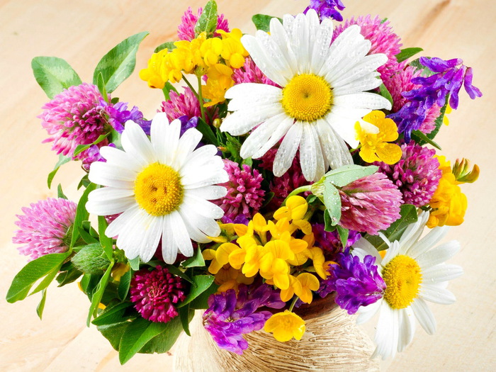 14bfefcafe133897a82361c279bb90f7.jpg