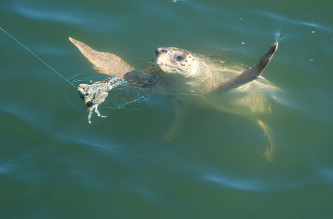 турция фетхие-4. развлечения