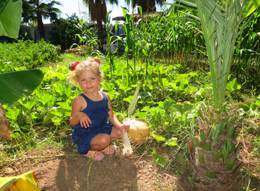 турция фетхие-4. развлечения