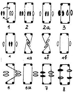 e7273bfa2e21432d952e95bb45b0de72.jpg