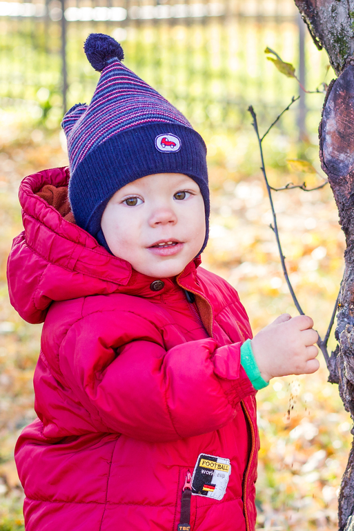 Морозное утро