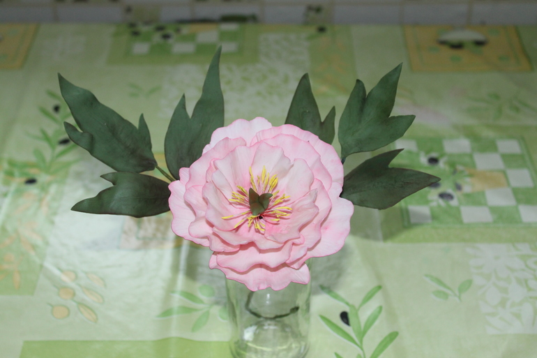 Мой первый пиончик!