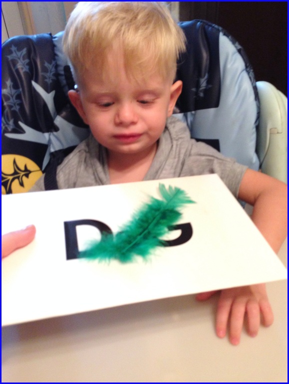 Наши занятия: мелкая моторика, 