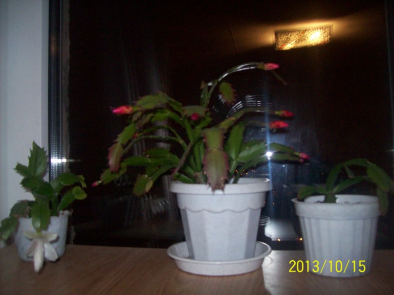 0c1658e1b2b14be0fd7c61fadeaba6ec.jpg
