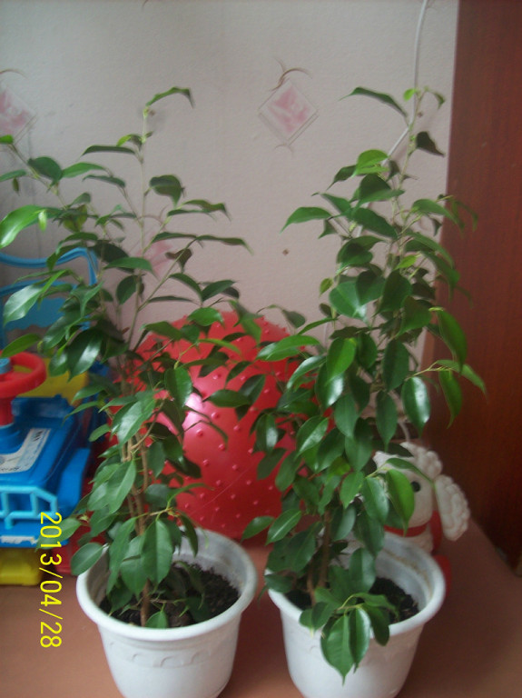 f9829be5a271b60cd9b2410f36148006.jpg