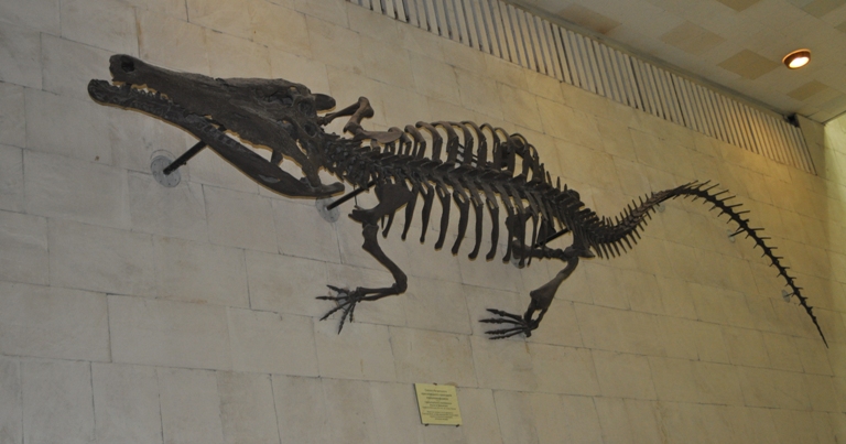 Познакомились с динозаврами