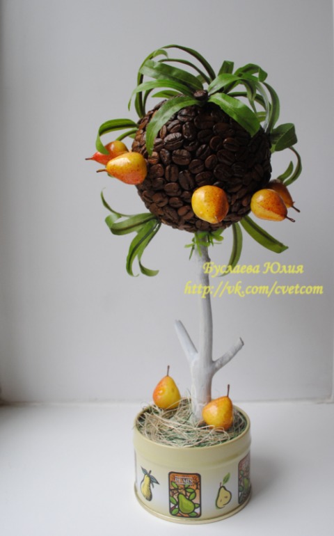 Кофейное дерево