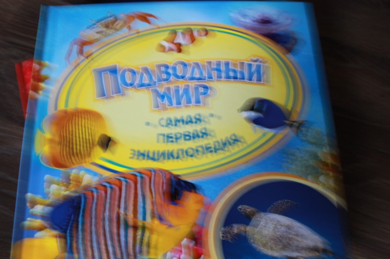 Наши долгожданные книги на 2,5 года + немного зимне-новогоднего