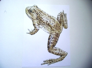 Мини-сказочное погружение)))