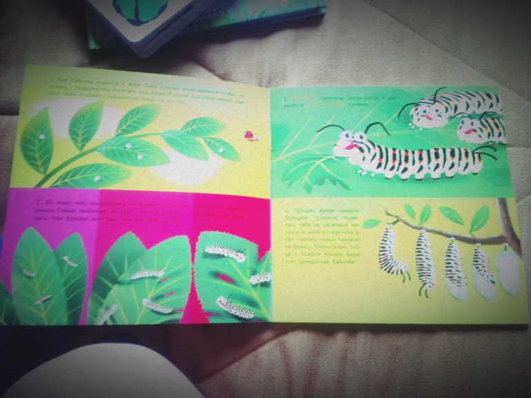 Пополнение библиотеки. Часть2