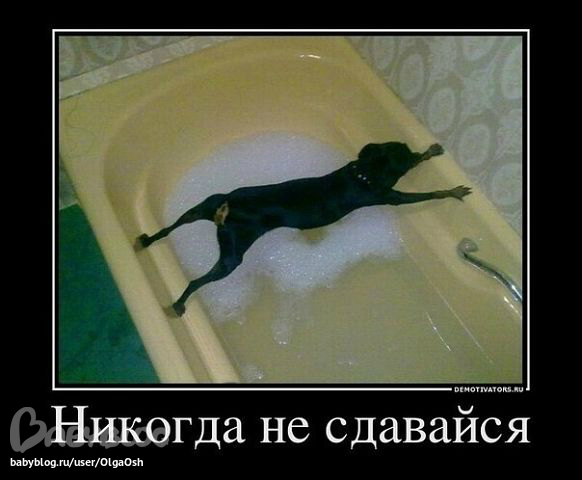 1472e1441141393c18a60c4da52a9a41.jpg