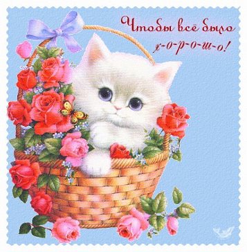0eeb6ad0baa16e218c9970f86a404914.jpg