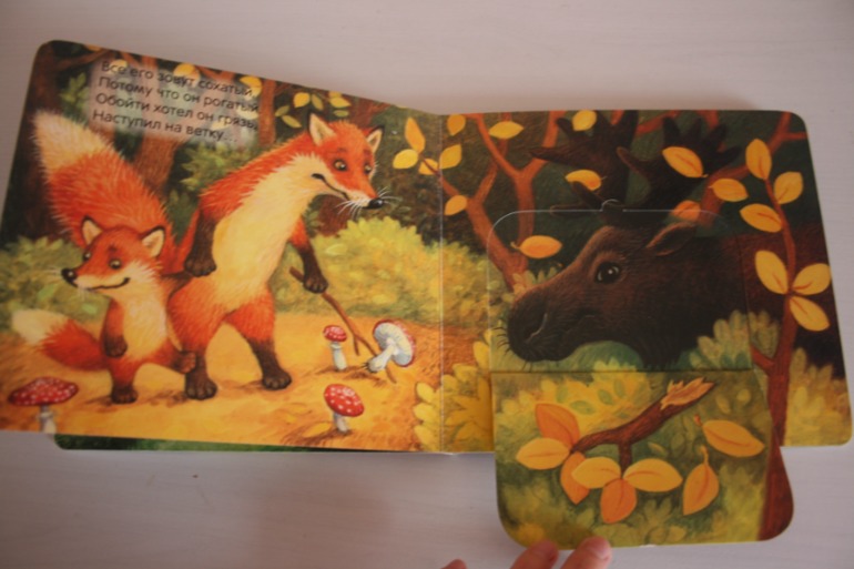 Что мы слышали в лесу и в деревне. Книжки с кармашками.