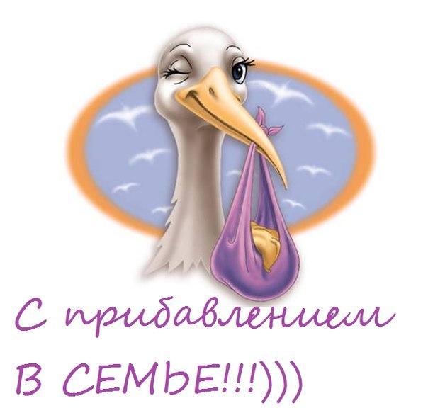 a95ba1489dfc7ba3ee8745ef3b834680.jpg