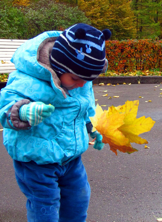 Контрольное задание № 2. Вырезание.