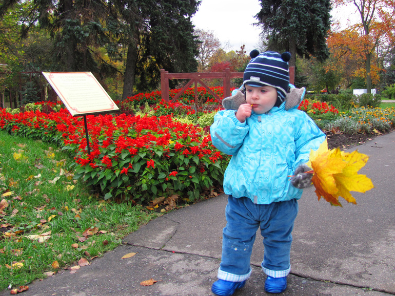 Контрольное задание № 2. Вырезание.