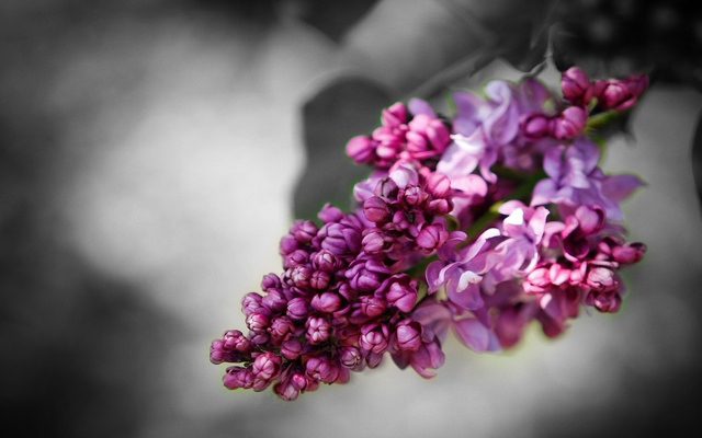 Контрольное задание № 5.