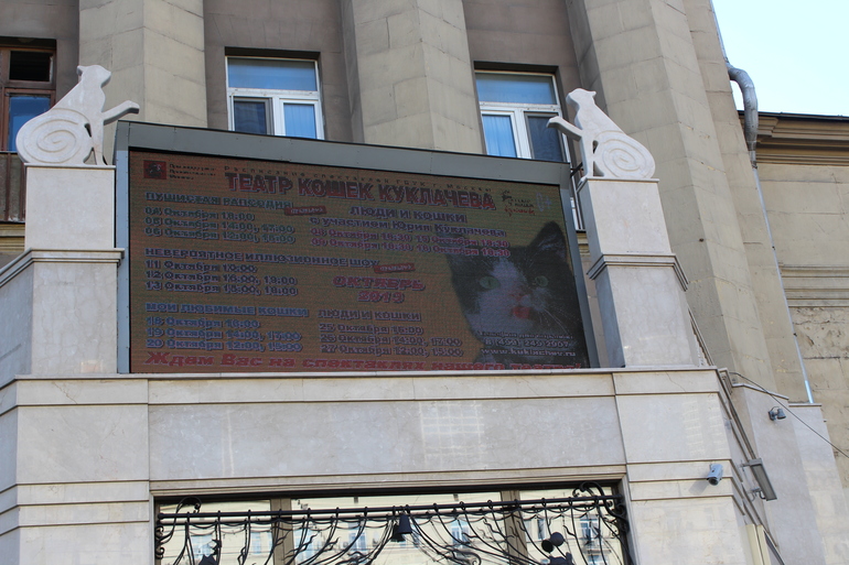 Театр кошек им.Куклачева!