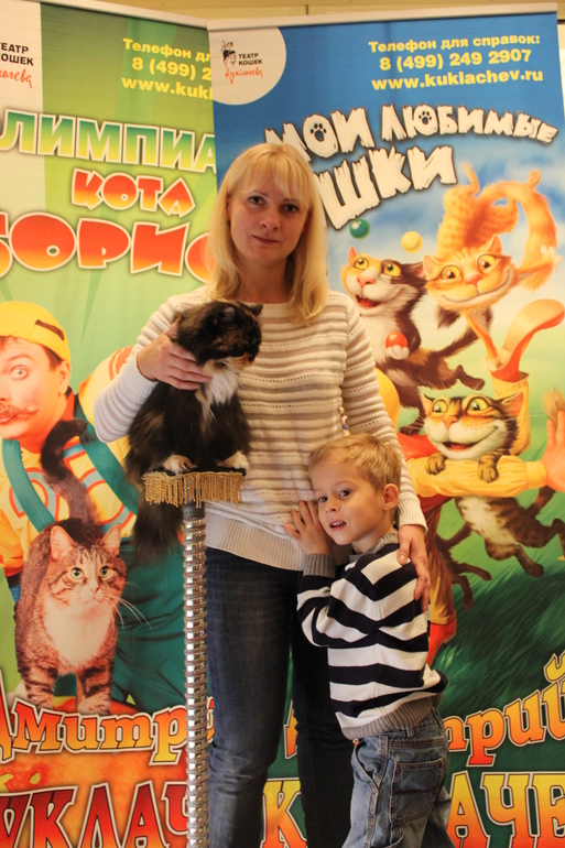 Театр кошек им.Куклачева!