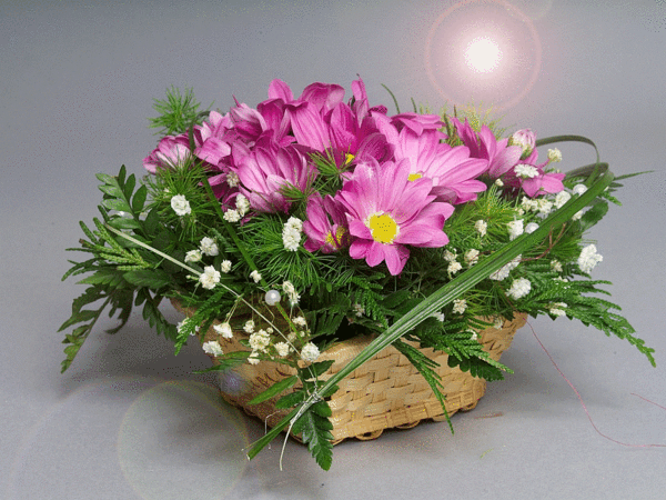943158a8e6fbd20efedc5186add2c9f7.gif