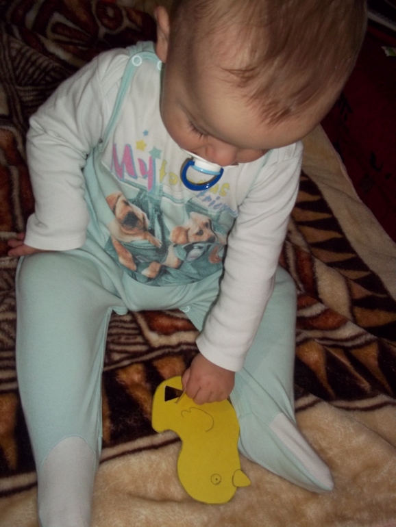 ТН Курица, петух, цыпленок