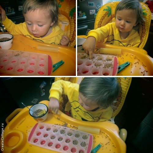 Играем дома (1,3 г)