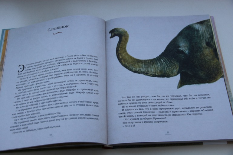 Ноябрьское пополнение