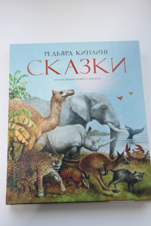 Ноябрьское пополнение