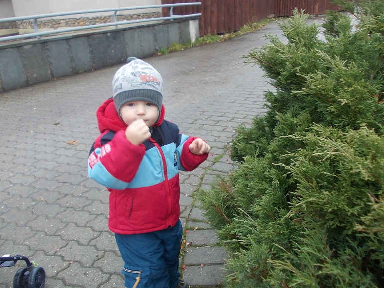 Наш вчерашний день. Зоопарк.