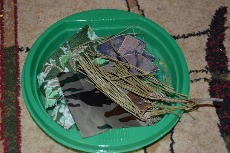 ТН Цвета. День 3 - Зеленый