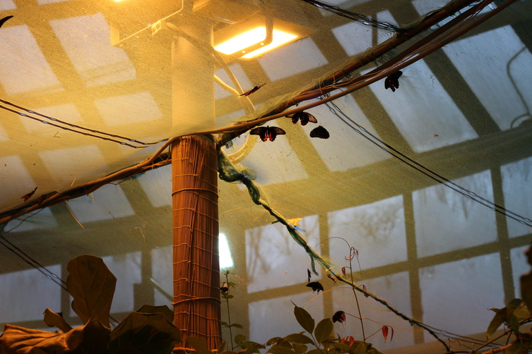 Всеросийский выстовочный центр.