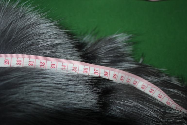 Хвасты . фото посредника