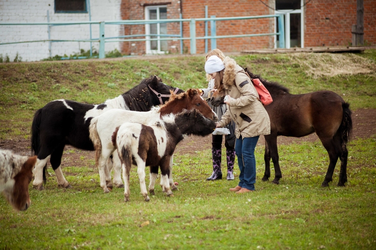 Терапия. Советую всем измотанным ожиданием и холодной осенью.
