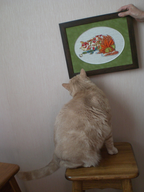 Осенняя кошка )))))