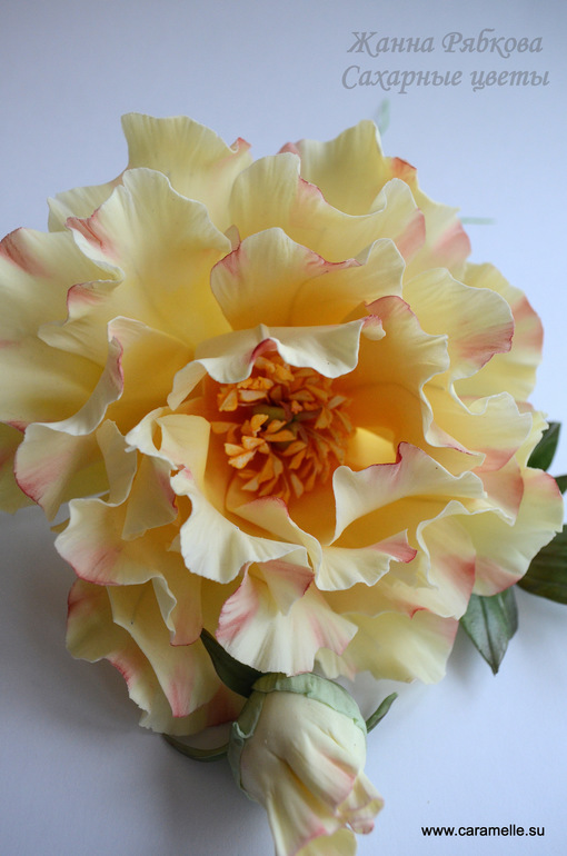 Курсы по Сахарной Флористике )))