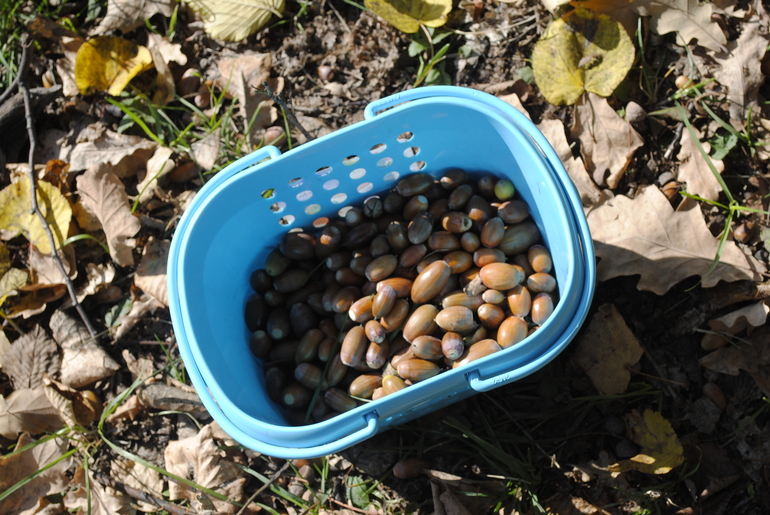 Обмен природными материалами.